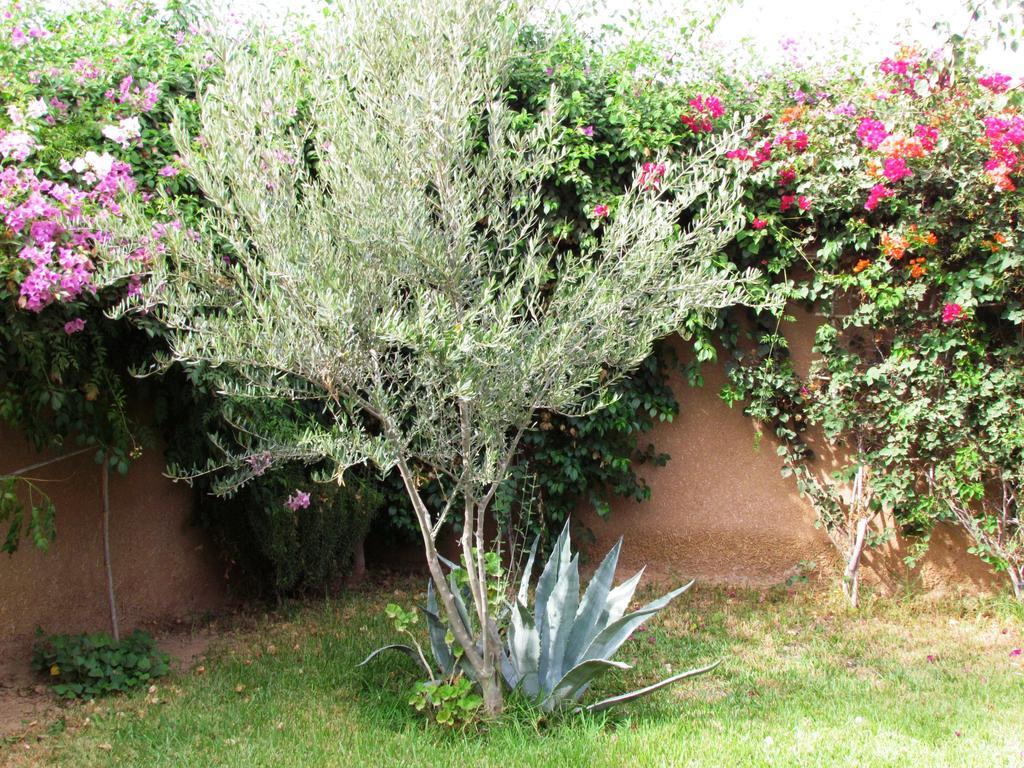 Le Jardin Des Epices Hotel Taroudant Exterior photo