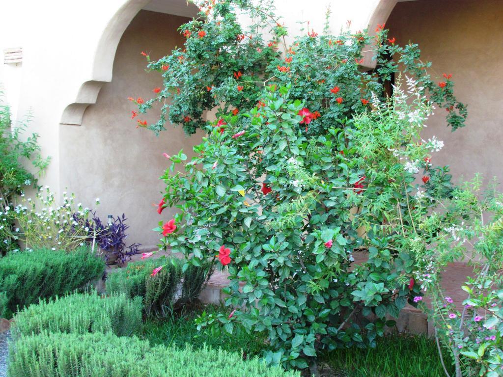 Le Jardin Des Epices Hotel Taroudant Exterior photo