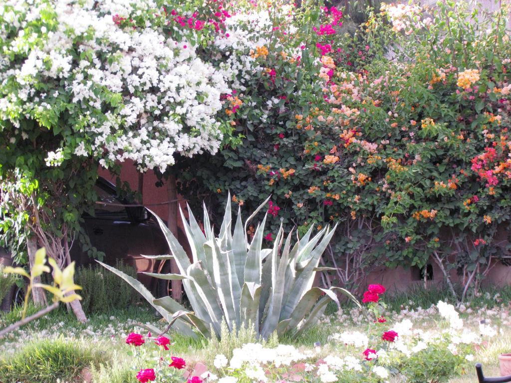 Le Jardin Des Epices Hotel Taroudant Exterior photo