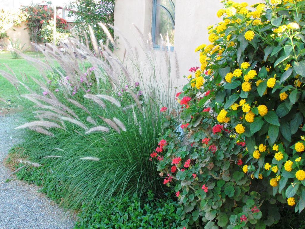Le Jardin Des Epices Hotel Taroudant Exterior photo